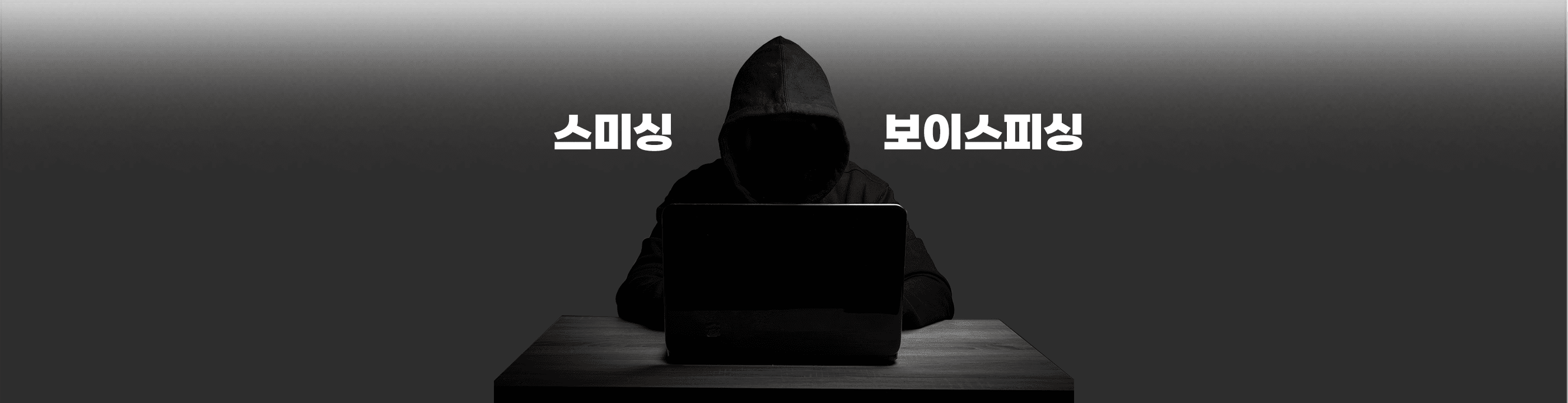 보이스피싱